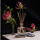 Gold & Blue  Diffúzor 100ml